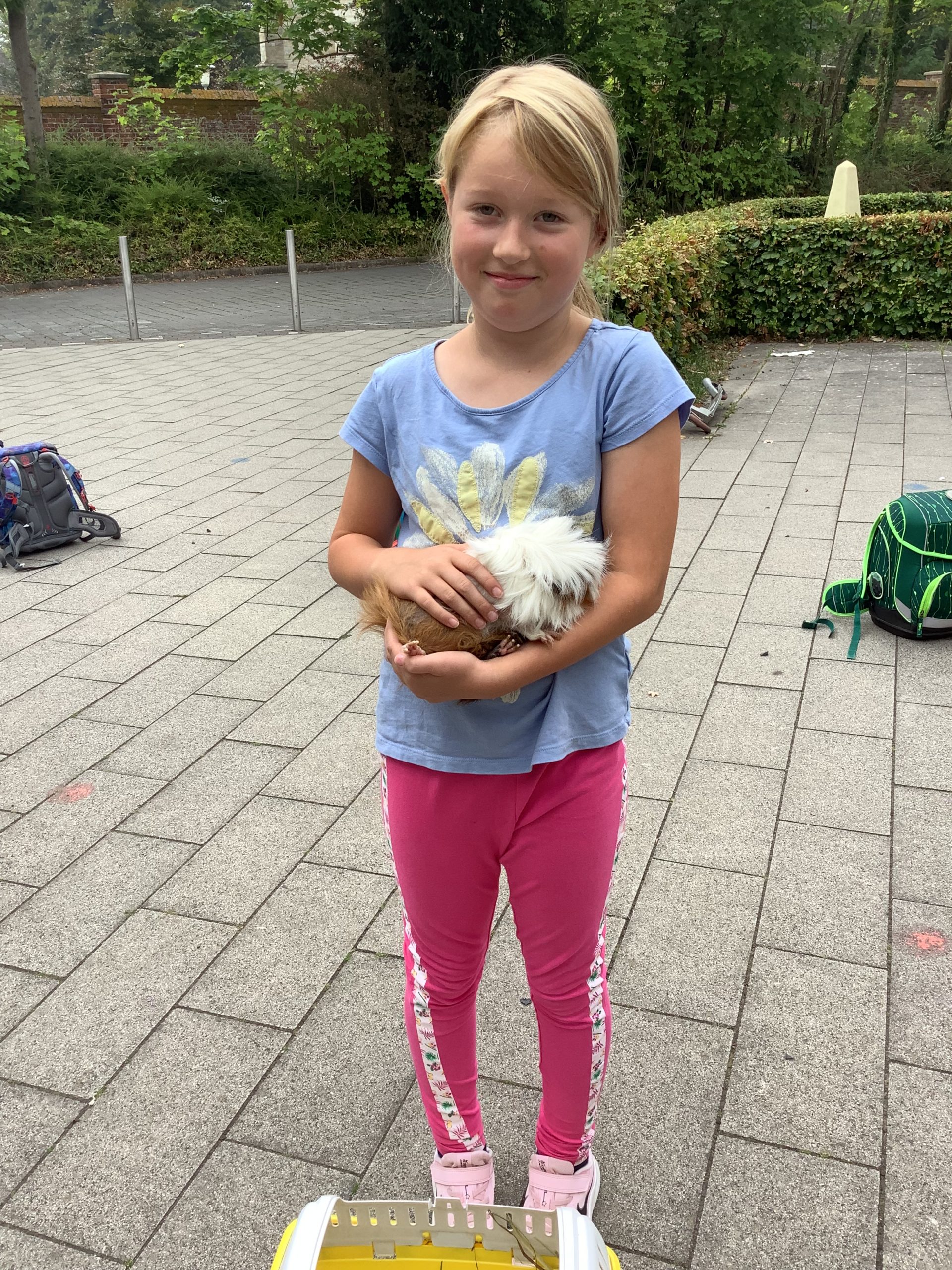 Braucht Man Eine überweisung Zum Orthopäden 2017 Haustiere zu Besuch – Pankratiusschule Störmede